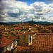 The Roofs of Florence