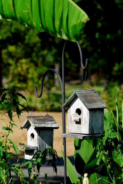 Bird cabins