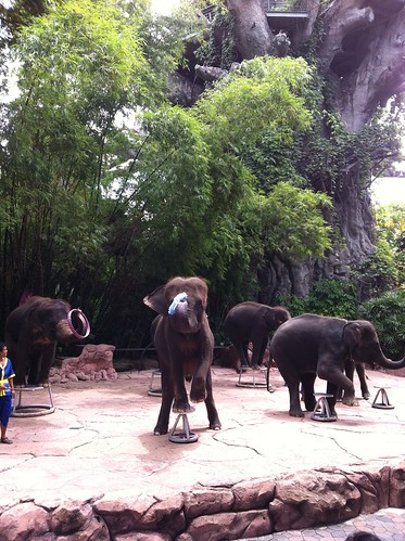 Safari World, Bangkok Thailand