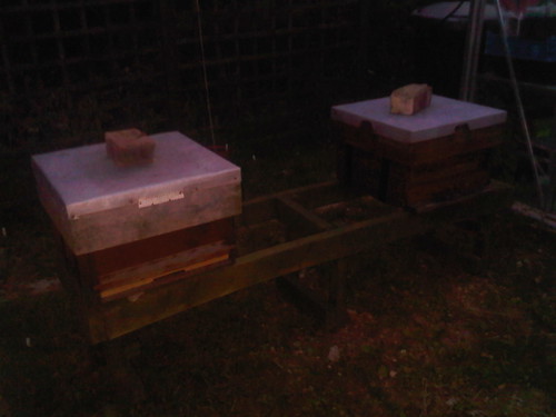 Beehives Jul 11
