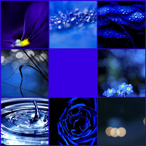 blue........ by mandalin18