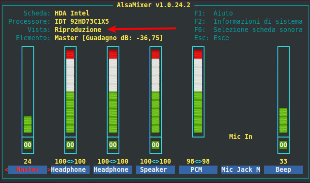Figura 3 - AlsaMixer, mixer audio di Ubuntu; vista Riproduzione.