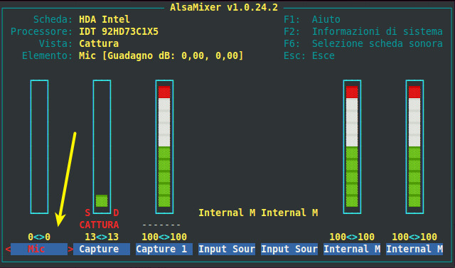 Figura 4 - AlsaMixer, mixer audio di Ubuntu; vista Cattura.