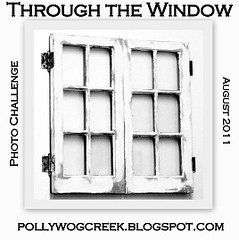 Through the Window Photo Challenge