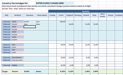 Ancestry Pie: Excel sheet capture