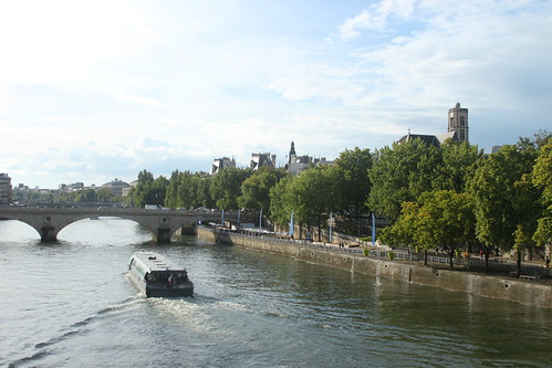 Obligatory Seine photo #1