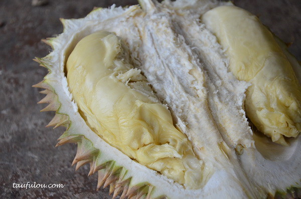balik pulau durian (10)