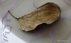 Manualidades: Decorar con hojas secas. Hoja con forma de mariposa (11)