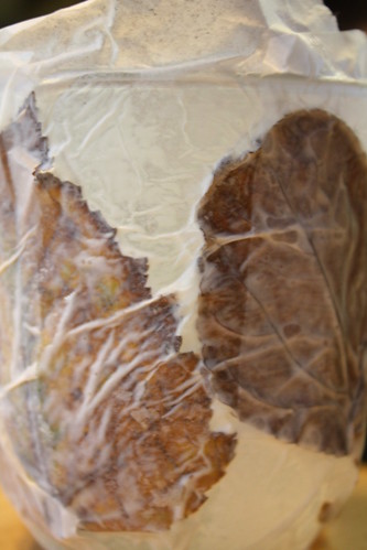 Tissue Paper over Leaves