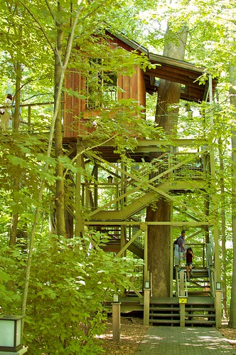 Lookout Loft Treehouse.