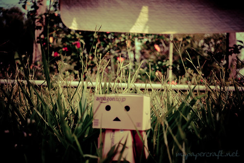 I went and do some photoshoot with danbo today You can DIY your own danbo 