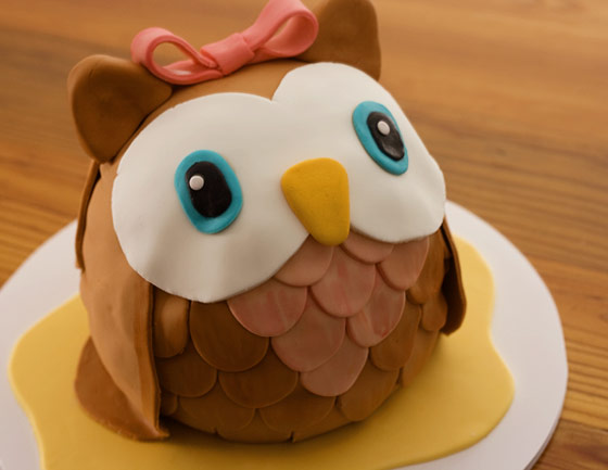 Owl Cake #2