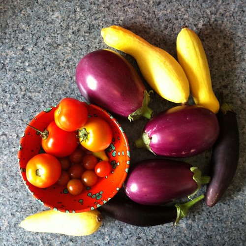 tomatoes, squash, eggplants from both gardens