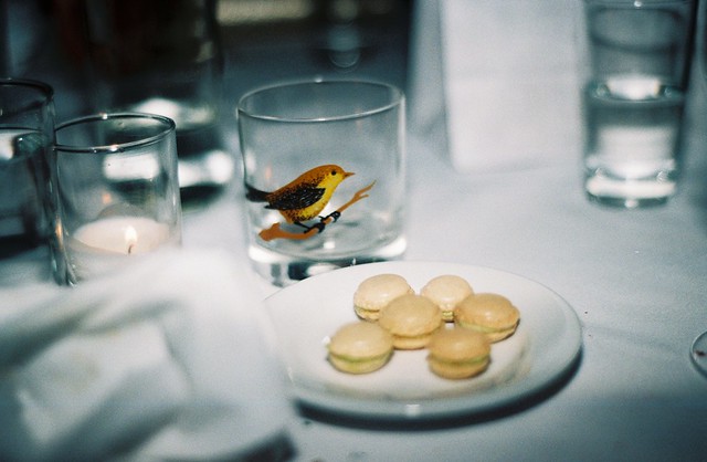 Little Bird : Mini Macarons 