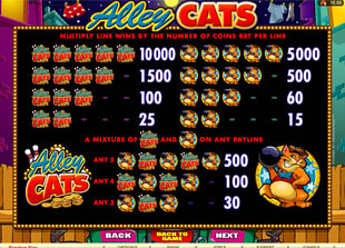 Alley Cats Slots Payout