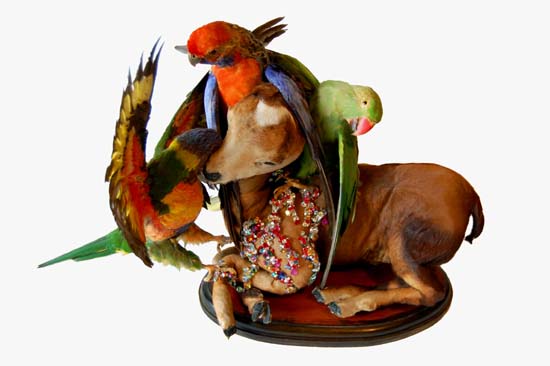 The Inseparables, 2009, Angela Singer--a fawn posed with three colorful birds around its head