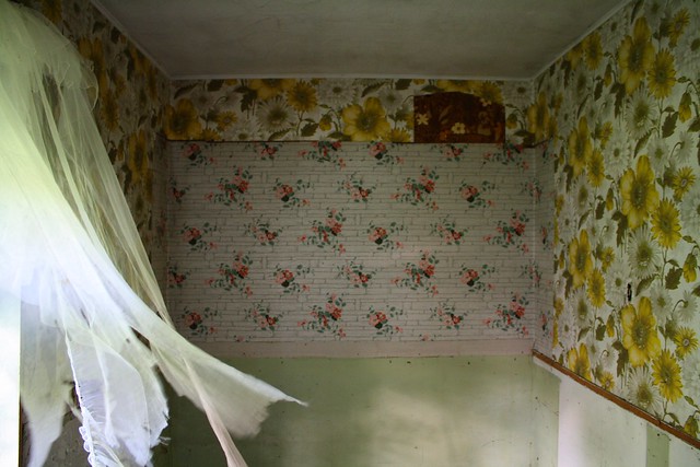 floral patterned wallpaper and decomposing curtains blowing in the breeze for lack of a better title