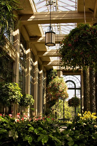 Inside the Conservatory.