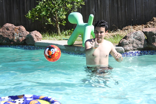 david in the pool