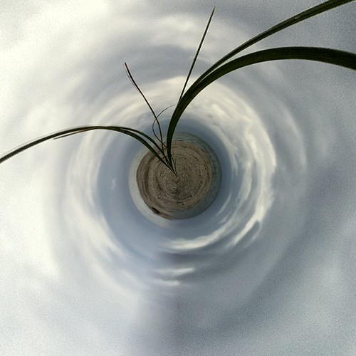 25/365- Giant plant, tiny planet. by elineart