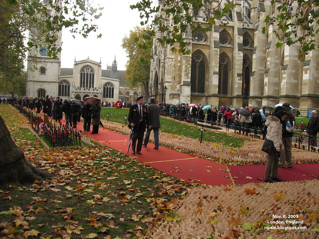 Field of Remembrance at Westminster Abbey