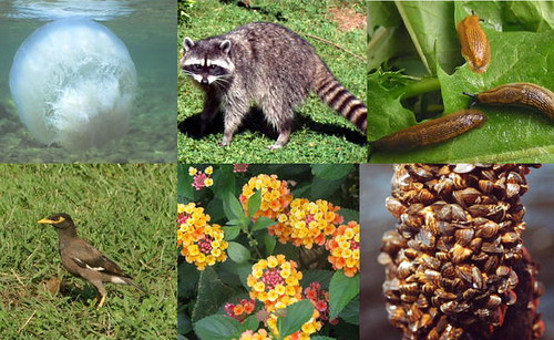 Biodiversity-