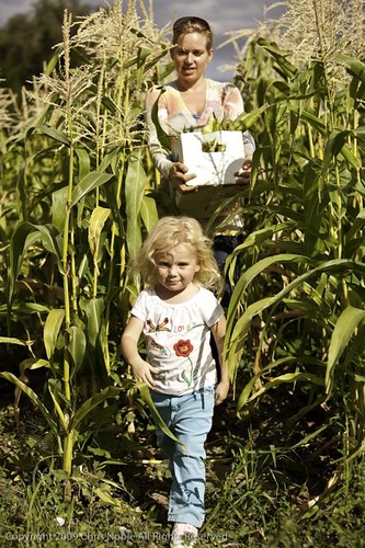 Jill Bell and daughter Anna helping with the summer harvest for CSA shares.