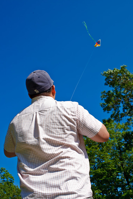 190/365 - July 9, 2011 - Go Fly a Kite