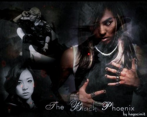 (10-19) The Black Phoenix by Jordayn Shelander