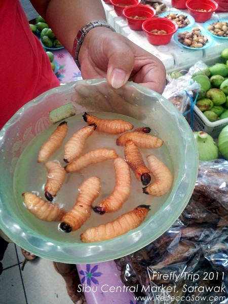Sibu, sarawak - live sago worms.08