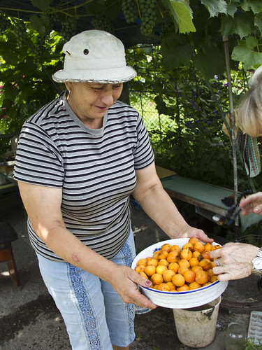 Strangers in Ukraine - apriconts