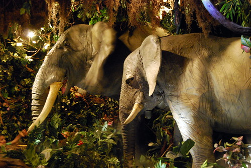 Rainforest Cafe Elephants