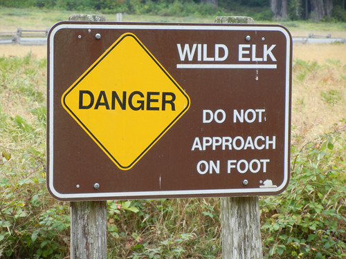 Elk Warning Sign _ 6987