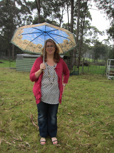 At the farm in the rain