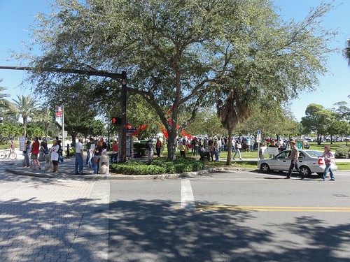 View of crowd and street protests at Occupy Saint Pete