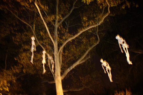 tree-skeletons
