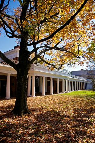University of Virginia lawn by Vironevaeh, on Flickr