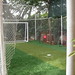 FSA - 2011 Soccer Tour - Costa Rica 068