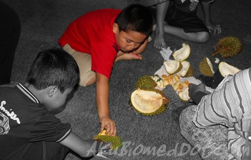 Adik beradik Koning kenduri Durian