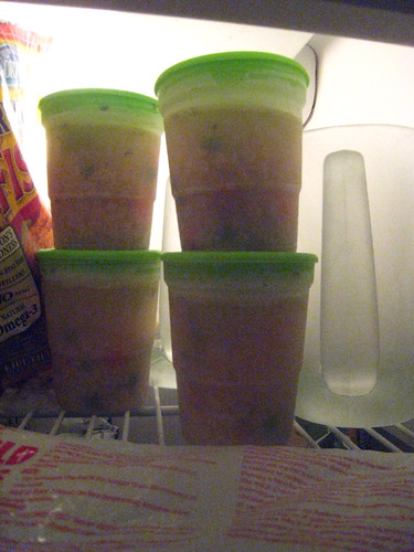 Homemade Soup Frozen