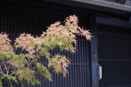 京都をめぐる冒険 祇園2