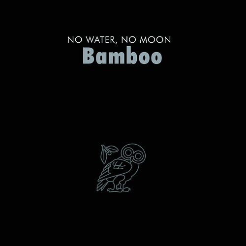 BAMBOO FINAL DIGIPAK COVER 1copy