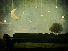 Moon, Tree and Stars