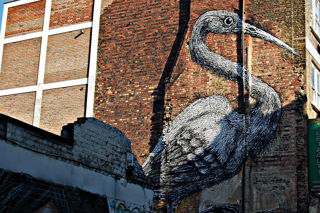 street art bird 