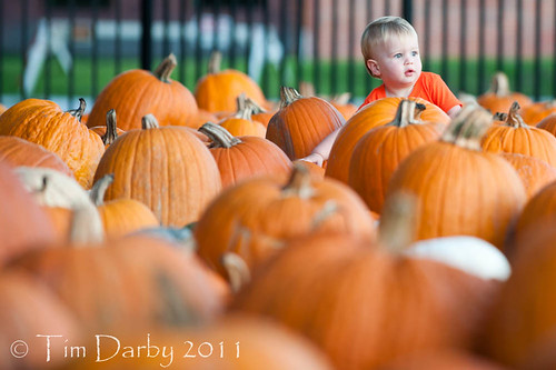 2011-10-19 - Pumpkin Patch-370