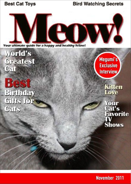Megumi's Exclusive Interview in "Meow!"