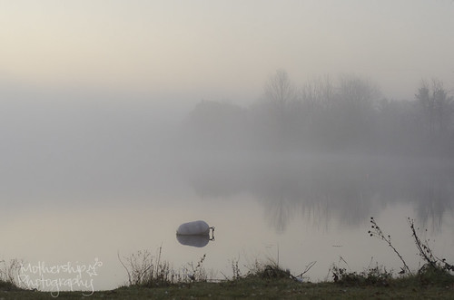 319:365 Foggy morning at the Long Island Lock