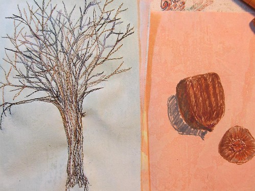 stitched elm, sketched acorn