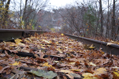 Leafy tracks