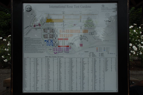 International Rose Test Garden, Portland, OR